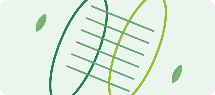 app4 hero plant art