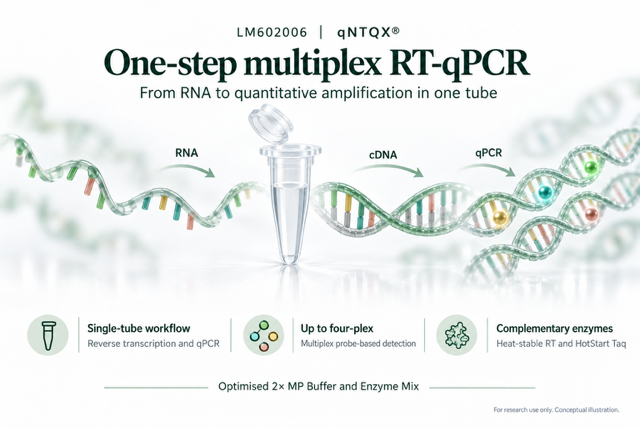 qNTQX® V Universal Multiplex One Step RT-qPCR Probe Kit LM602006 Overview Image
