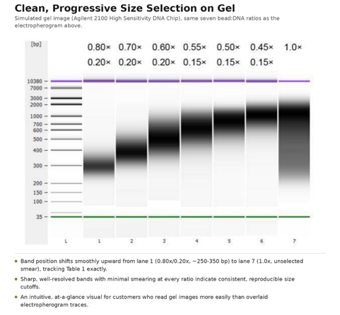SEQQX LM801002 Performance1